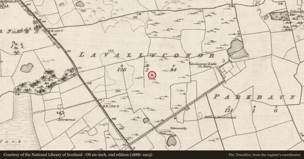 Ordnance Survey six-inch map, 2nd edition (1888–1915) covering the location of Settlement cluster, Lavallyconor, County Galway, with a pin at the register's coordinates