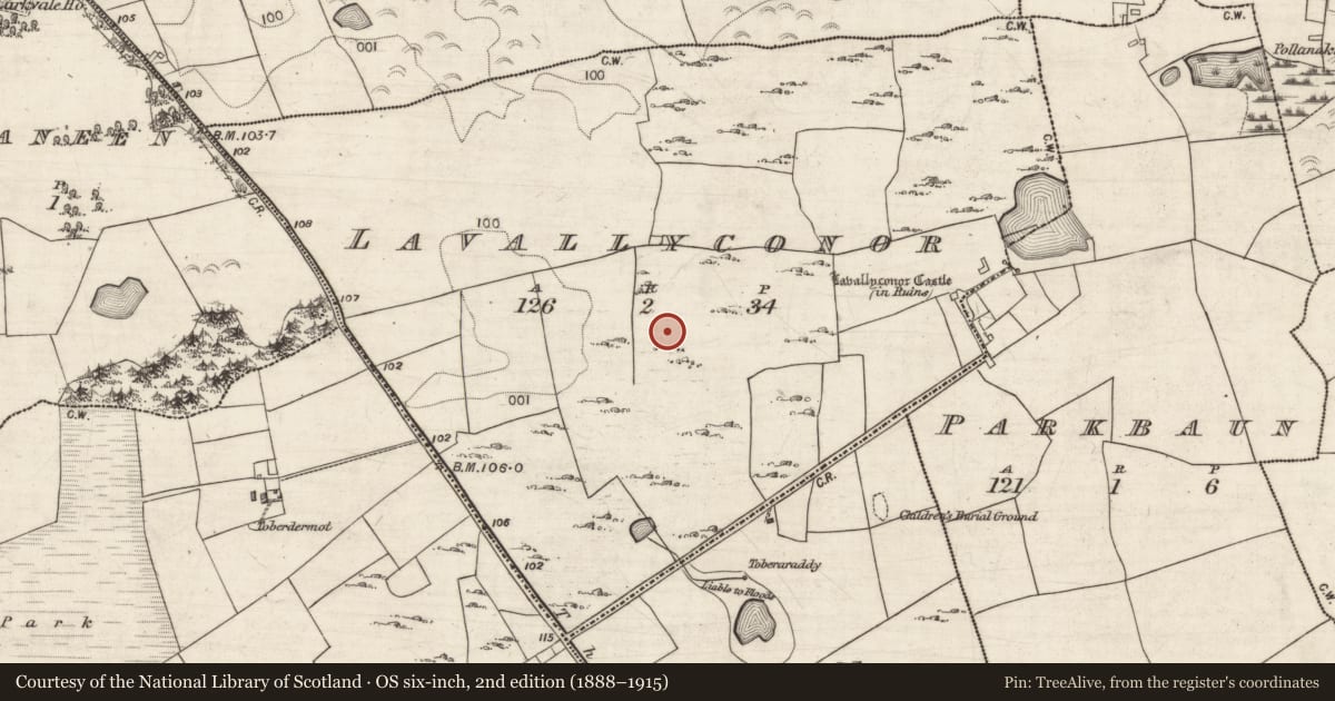 Ordnance Survey six-inch map, 2nd edition (1888–1915) covering the location of Souterrain, Lavallyconor, County Galway, with a pin at the register's coordinates