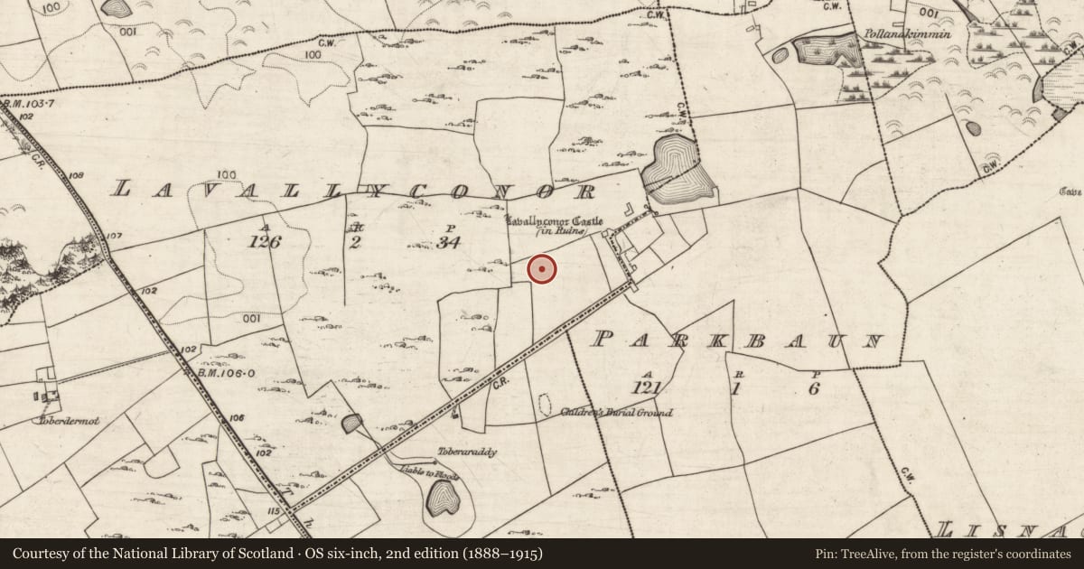 Ordnance Survey six-inch map, 2nd edition (1888–1915) covering the location of Anomalous stone group, Lavallyconor, County Galway, with a pin at the register's coordinates