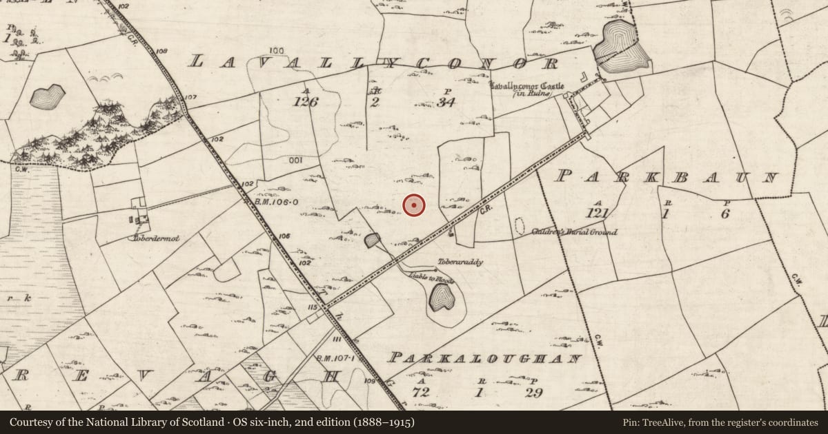 Ordnance Survey six-inch map, 2nd edition (1888–1915) covering the location of House - indeterminate date, Lavallyconor, County Galway, with a pin at the register's coordinates