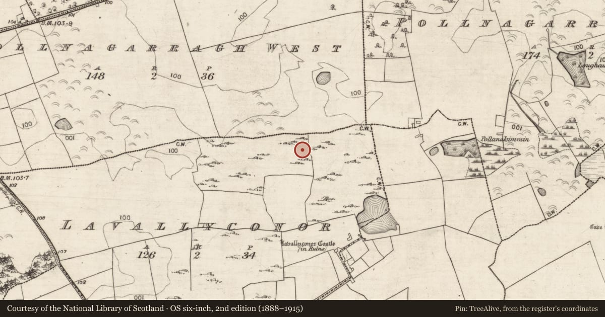 Ordnance Survey six-inch map, 2nd edition (1888–1915) covering the location of Ringfort - cashel, Lavallyconor, County Galway, with a pin at the register's coordinates