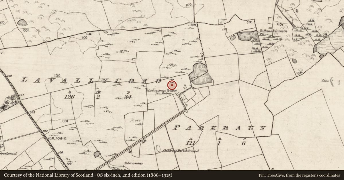 Ordnance Survey six-inch map, 2nd edition (1888–1915) covering the location of Well, Lavallyconor, County Galway, with a pin at the register's coordinates