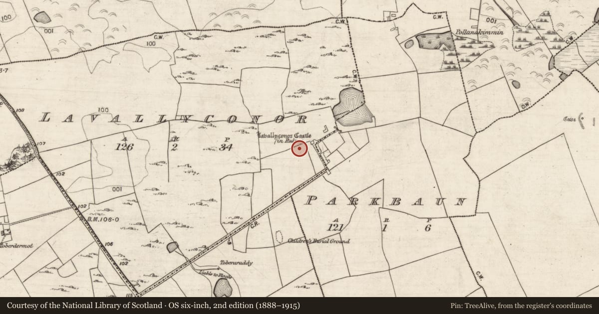 Ordnance Survey six-inch map, 2nd edition (1888–1915) covering the location of House - indeterminate date, Lavallyconor, County Galway, with a pin at the register's coordinates