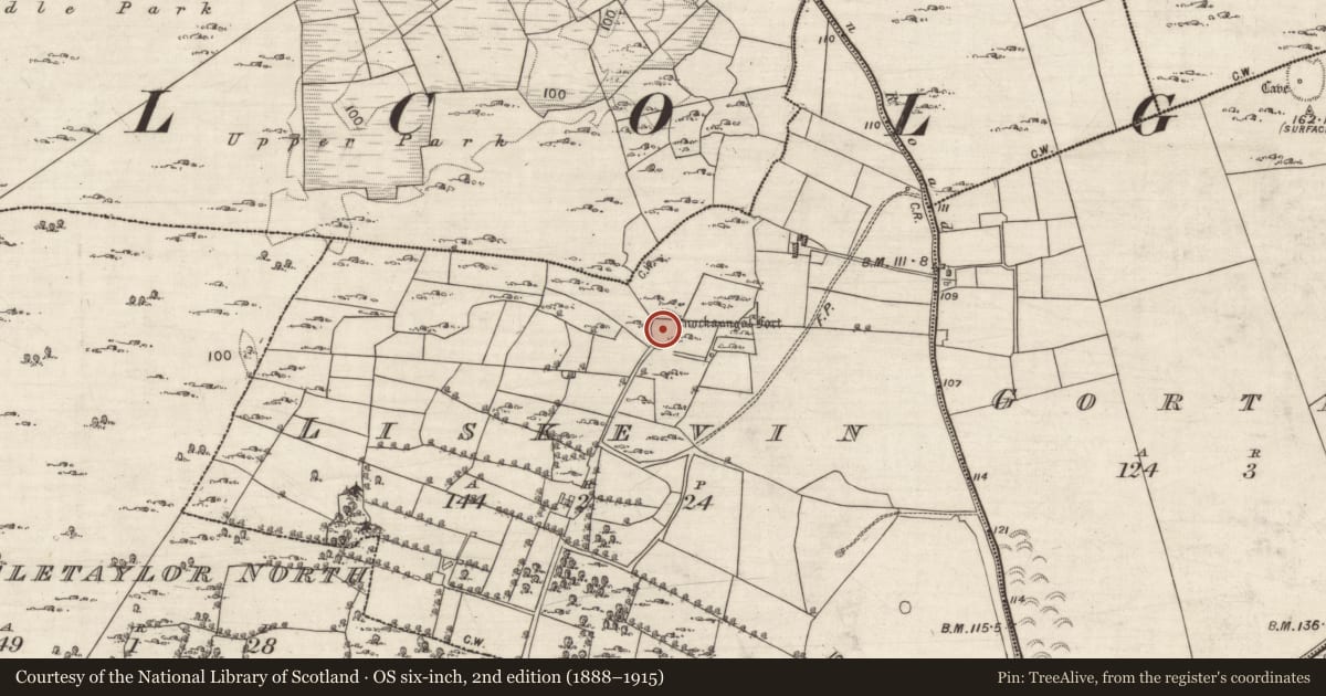 Ordnance Survey six-inch map, 2nd edition (1888–1915) covering the location of Ringfort - cashel, Liskevin, County Galway, with a pin at the register's coordinates