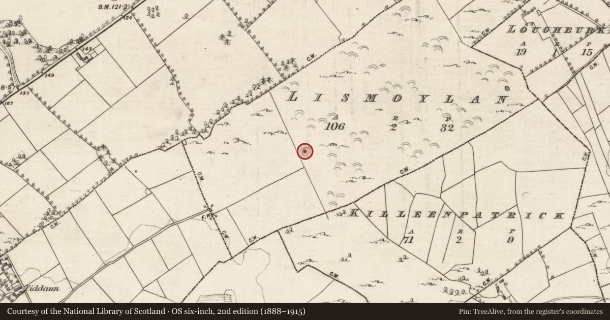 Ordnance Survey six-inch map, 2nd edition (1888–1915) covering the location of Ringfort - rath, Lismoylan, County Galway, with a pin at the register's coordinates