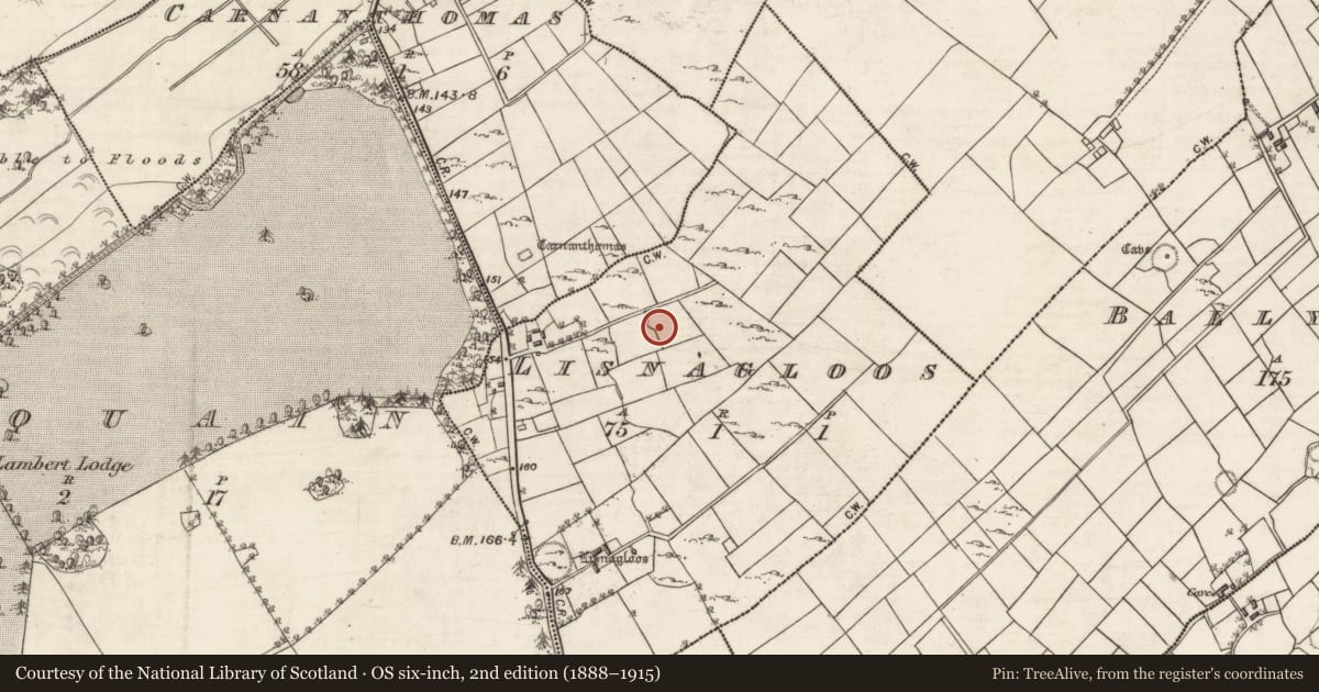 Ordnance Survey six-inch map, 2nd edition (1888–1915) covering the location of Cairn - clearance cairn, Lisnagloos, County Galway, with a pin at the register's coordinates
