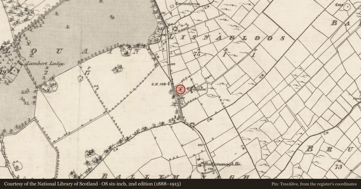 Ordnance Survey six-inch map, 2nd edition (1888–1915) covering the location of Ringfort - cashel, Lisnagloos, County Galway, with a pin at the register's coordinates