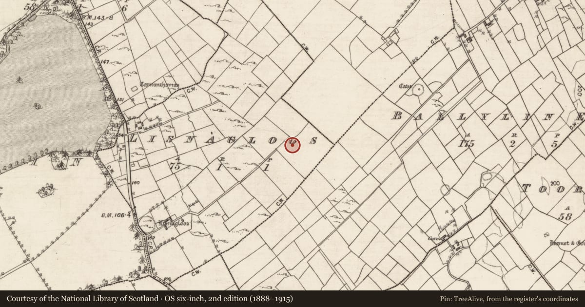 Ordnance Survey six-inch map, 2nd edition (1888–1915) covering the location of Barrow - ring-barrow, Lisnagloos, County Galway, with a pin at the register's coordinates