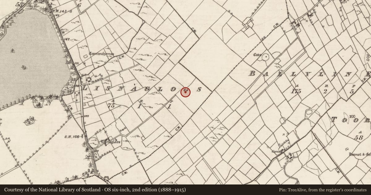 Ordnance Survey six-inch map, 2nd edition (1888–1915) covering the location of Barrow - ring-barrow, Lisnagloos, County Galway, with a pin at the register's coordinates