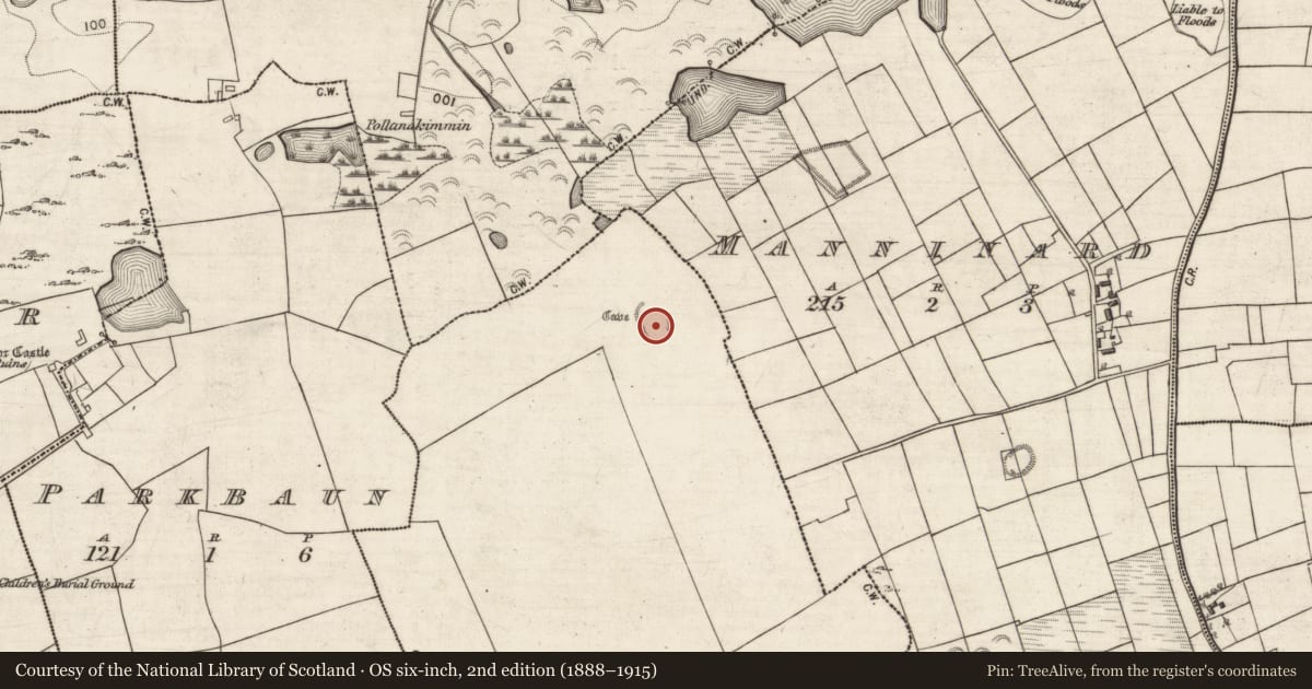 Ordnance Survey six-inch map, 2nd edition (1888–1915) covering the location of Souterrain, Lisnagranshy, County Galway, with a pin at the register's coordinates