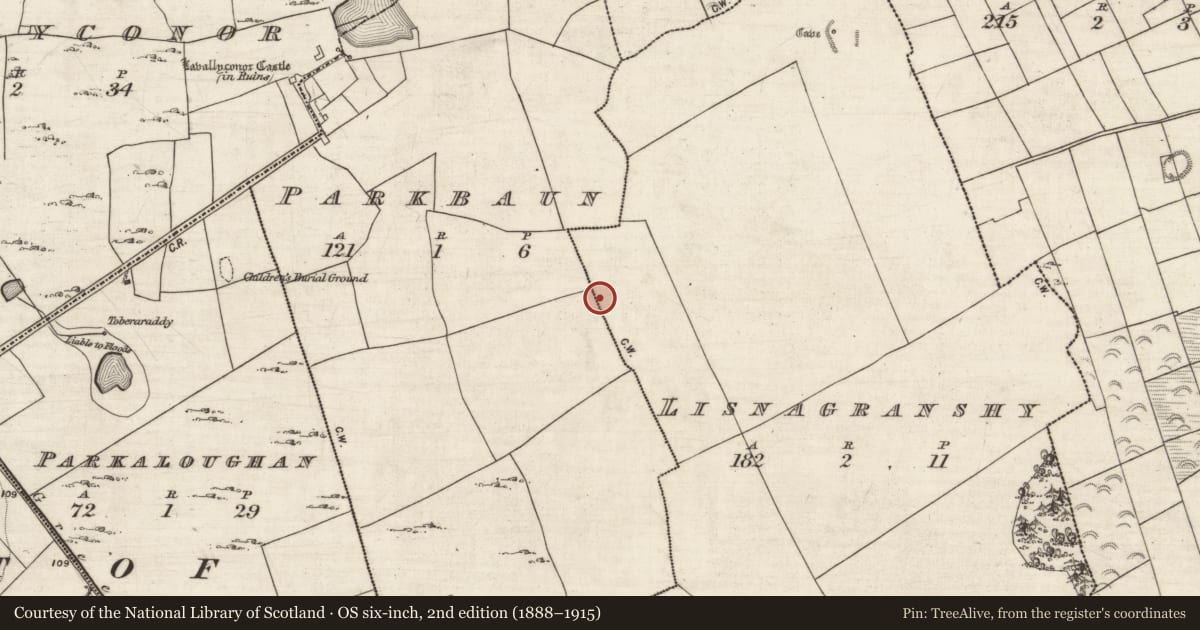Ordnance Survey six-inch map, 2nd edition (1888–1915) covering the location of Ringfort - rath, Lisnagranshy, Parkbaun, County Galway, with a pin at the register's coordinates