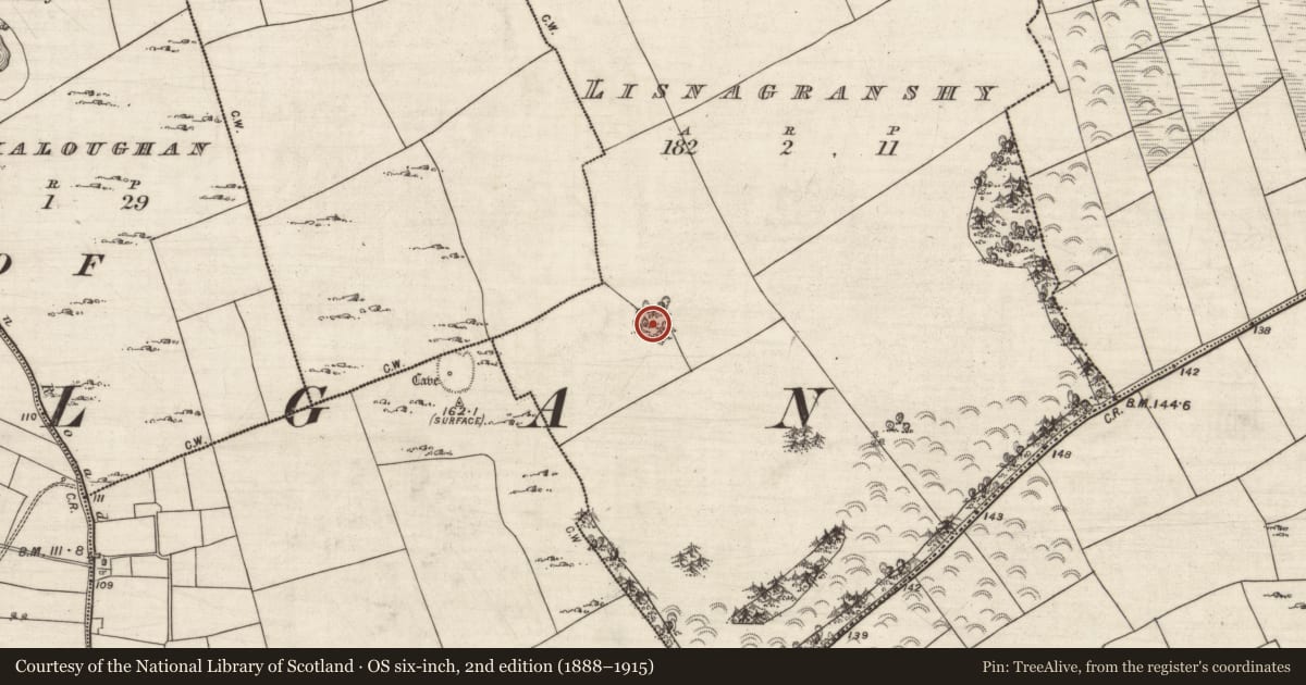 Ordnance Survey six-inch map, 2nd edition (1888–1915) covering the location of Ringfort - cashel, Lisnagranshy, County Galway, with a pin at the register's coordinates