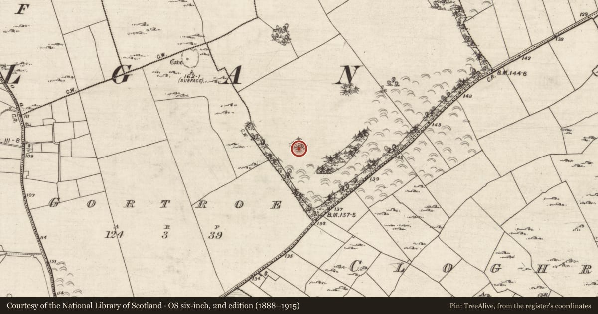 Ordnance Survey six-inch map, 2nd edition (1888–1915) covering the location of Ringfort - rath, Lisnagranshy, County Galway, with a pin at the register's coordinates