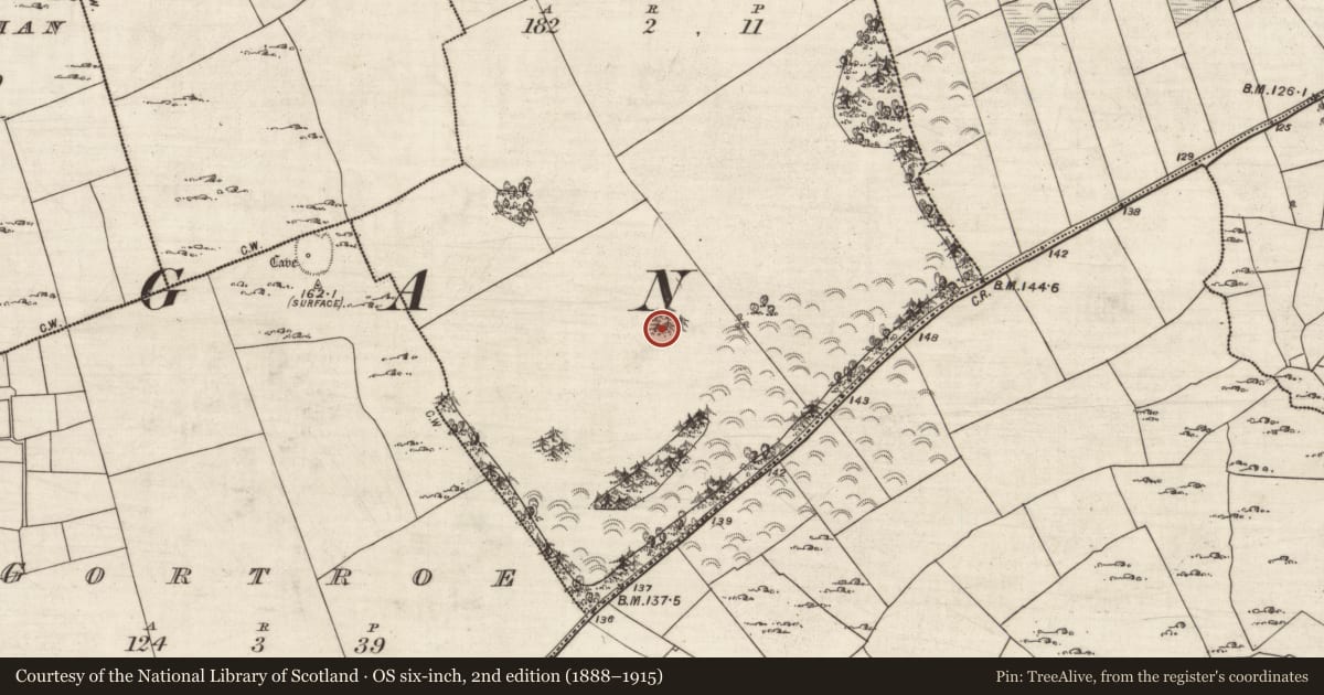 Ordnance Survey six-inch map, 2nd edition (1888–1915) covering the location of Ringfort - rath, Lisnagranshy, County Galway, with a pin at the register's coordinates