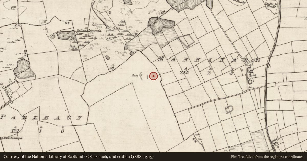 Ordnance Survey six-inch map, 2nd edition (1888–1915) covering the location of Field system, Lisnagranshy, County Galway, with a pin at the register's coordinates