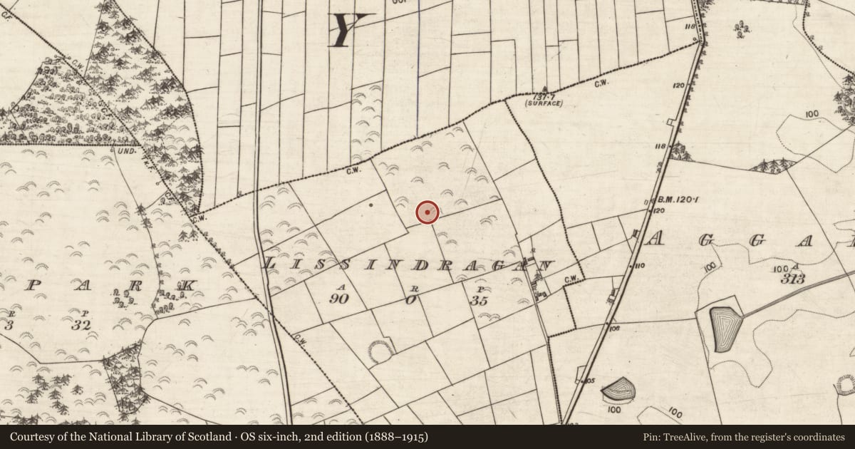 Ordnance Survey six-inch map, 2nd edition (1888–1915) covering the location of Ringfort - rath, Lissindragan, County Galway, with a pin at the register's coordinates