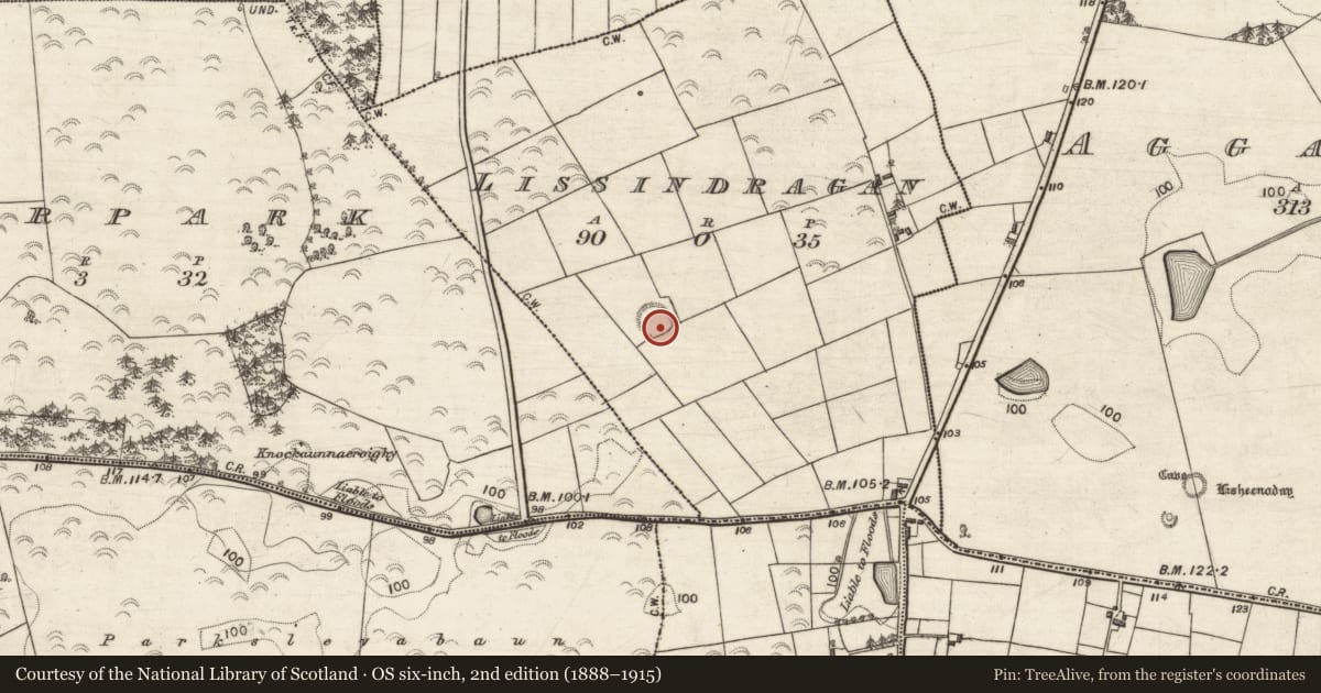 Ordnance Survey six-inch map, 2nd edition (1888–1915) covering the location of Ringfort - rath, Lissindragan, County Galway, with a pin at the register's coordinates