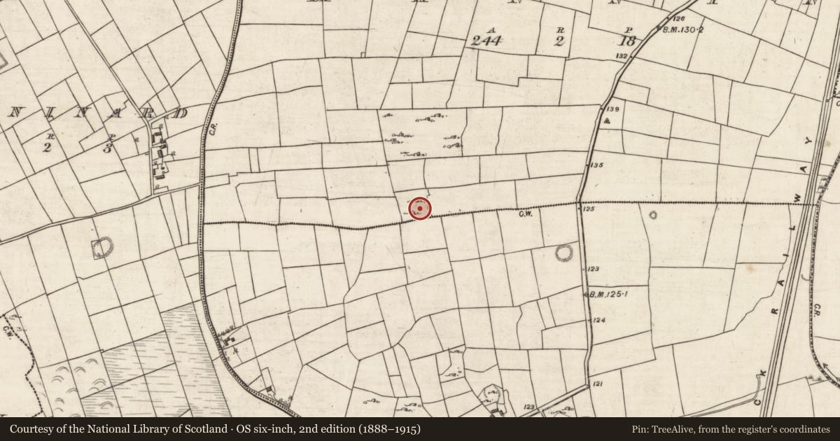 Ordnance Survey six-inch map, 2nd edition (1888–1915) covering the location of Ringfort - cashel, Mannin, County Galway, with a pin at the register's coordinates