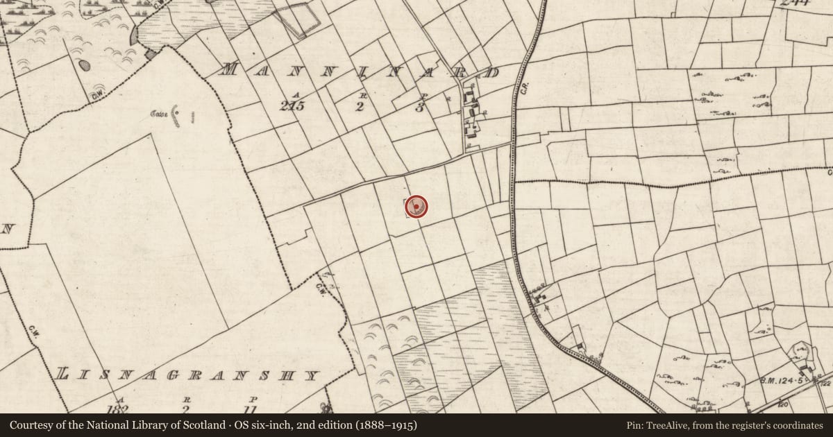 Ordnance Survey six-inch map, 2nd edition (1888–1915) covering the location of Ringfort - rath, Manninard, County Galway, with a pin at the register's coordinates