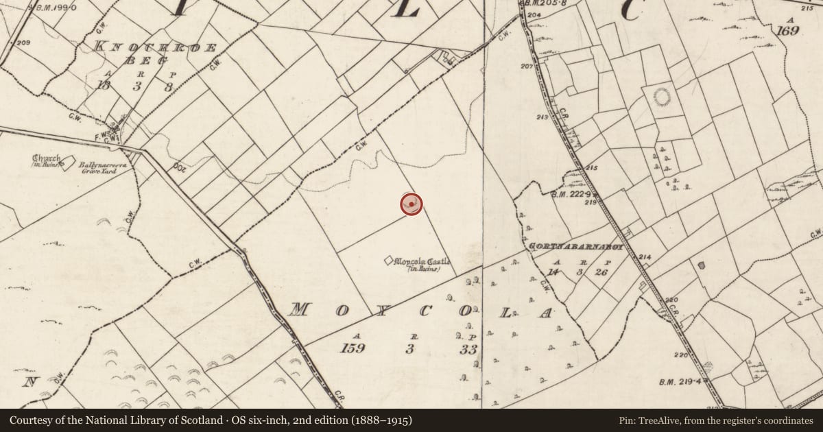 Ordnance Survey six-inch map, 2nd edition (1888–1915) covering the location of Ringfort - cashel, Moycola, County Galway, with a pin at the register's coordinates