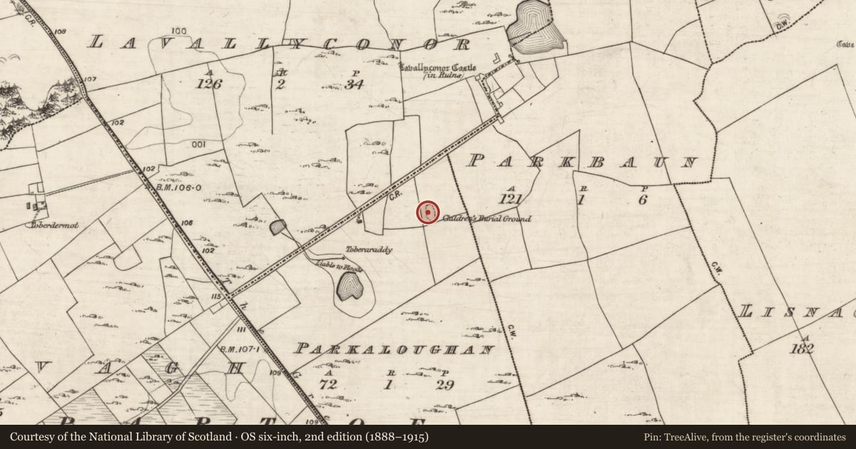 Ordnance Survey six-inch map, 2nd edition (1888–1915) covering the location of Children's burial ground, Parkaloughan, County Galway, with a pin at the register's coordinates