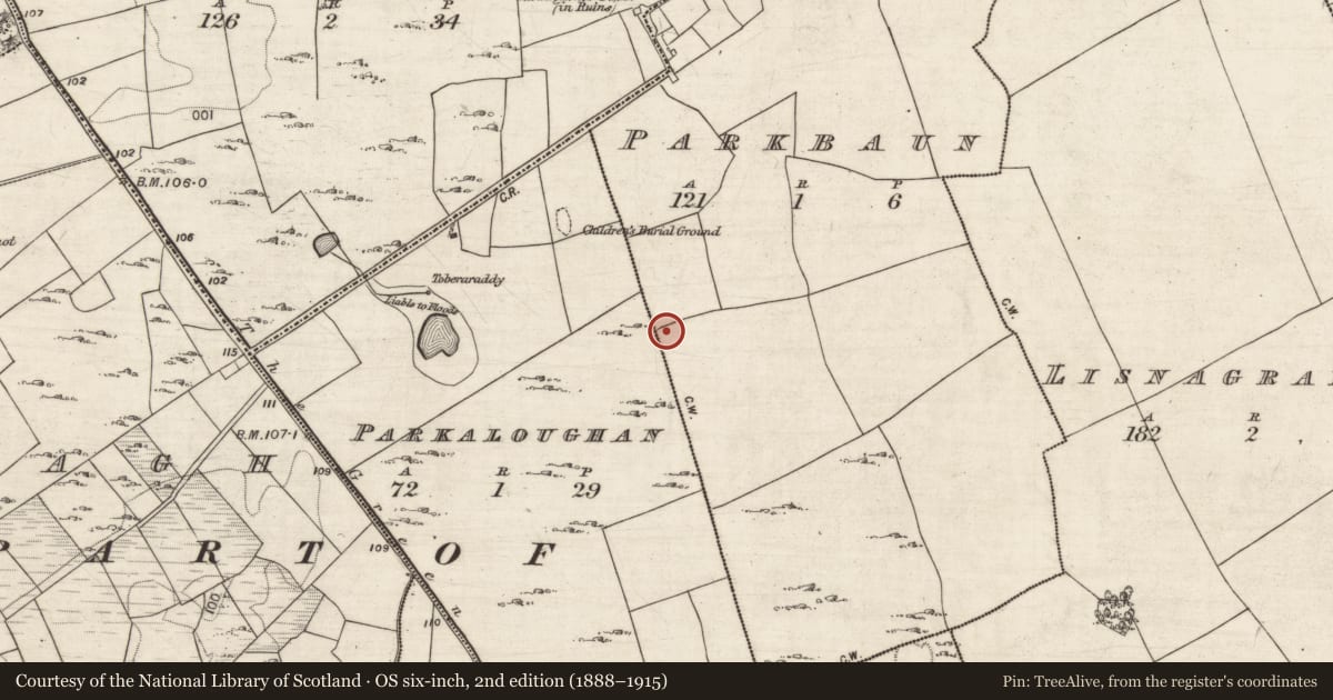 Ordnance Survey six-inch map, 2nd edition (1888–1915) covering the location of Ringfort - cashel, Parkbaun, County Galway, with a pin at the register's coordinates