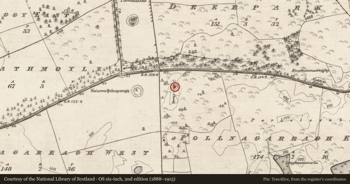 Ordnance Survey six-inch map, 2nd edition (1888–1915) covering the location of Well, Pollnagarragh East, County Galway, with a pin at the register's coordinates
