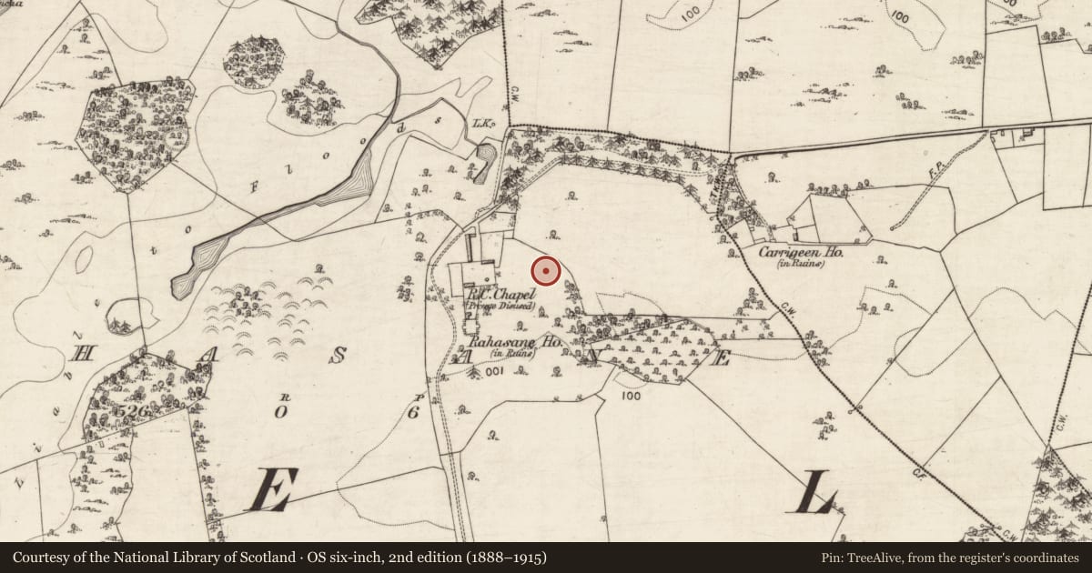Ordnance Survey six-inch map, 2nd edition (1888–1915) covering the location of Quarry, Rahasane, County Galway, with a pin at the register's coordinates