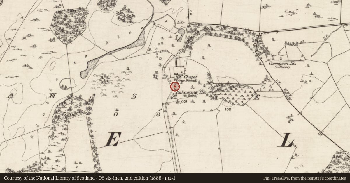Ordnance Survey six-inch map, 2nd edition (1888–1915) covering the location of Country house, Rahasane, County Galway, with a pin at the register's coordinates