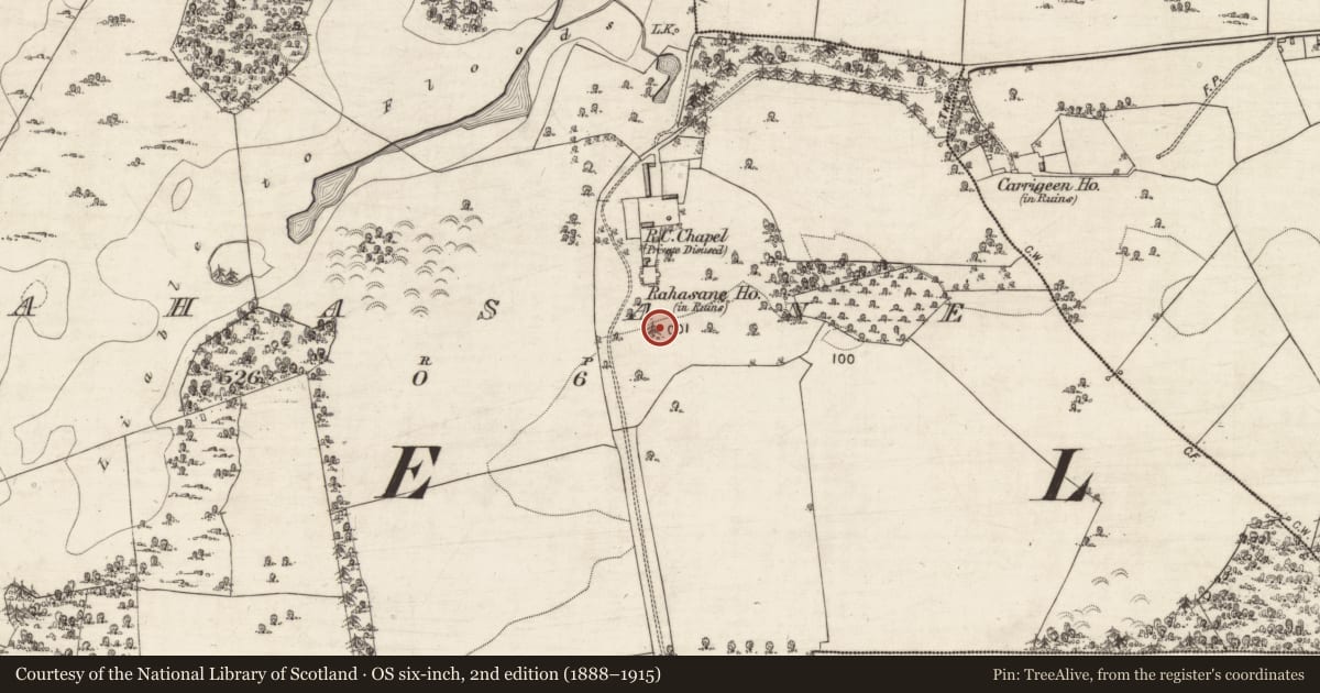 Ordnance Survey six-inch map, 2nd edition (1888–1915) covering the location of Designed landscape feature, Rahasane, County Galway, with a pin at the register's coordinates