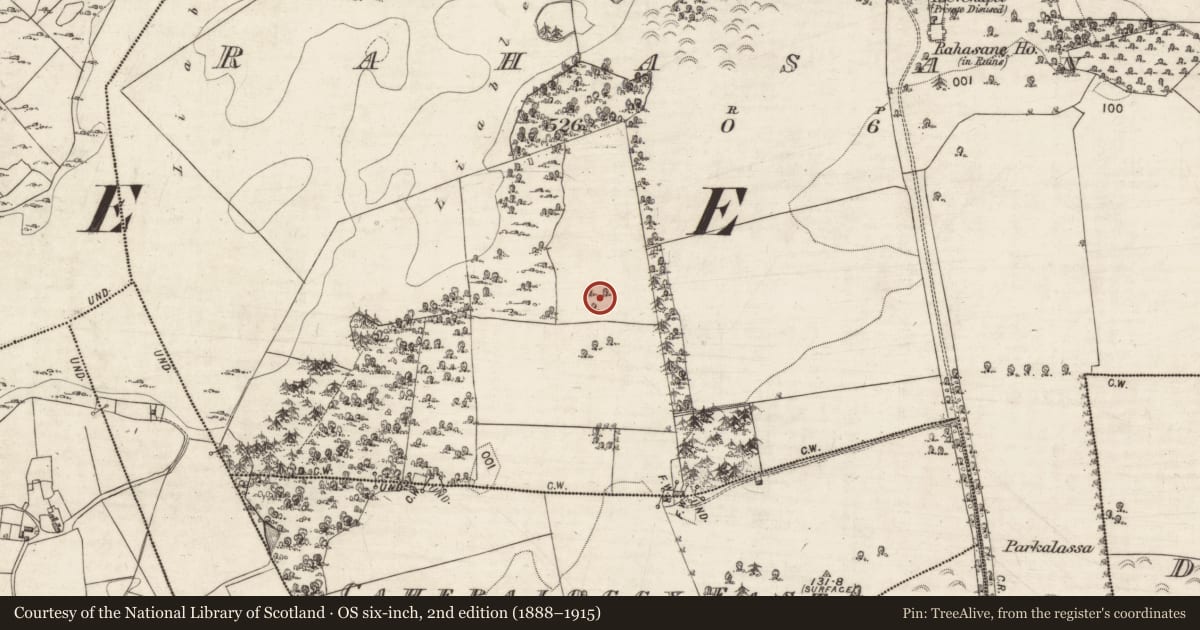 Ordnance Survey six-inch map, 2nd edition (1888–1915) covering the location of Designed landscape - tree-ring, Rahasane, County Galway, with a pin at the register's coordinates