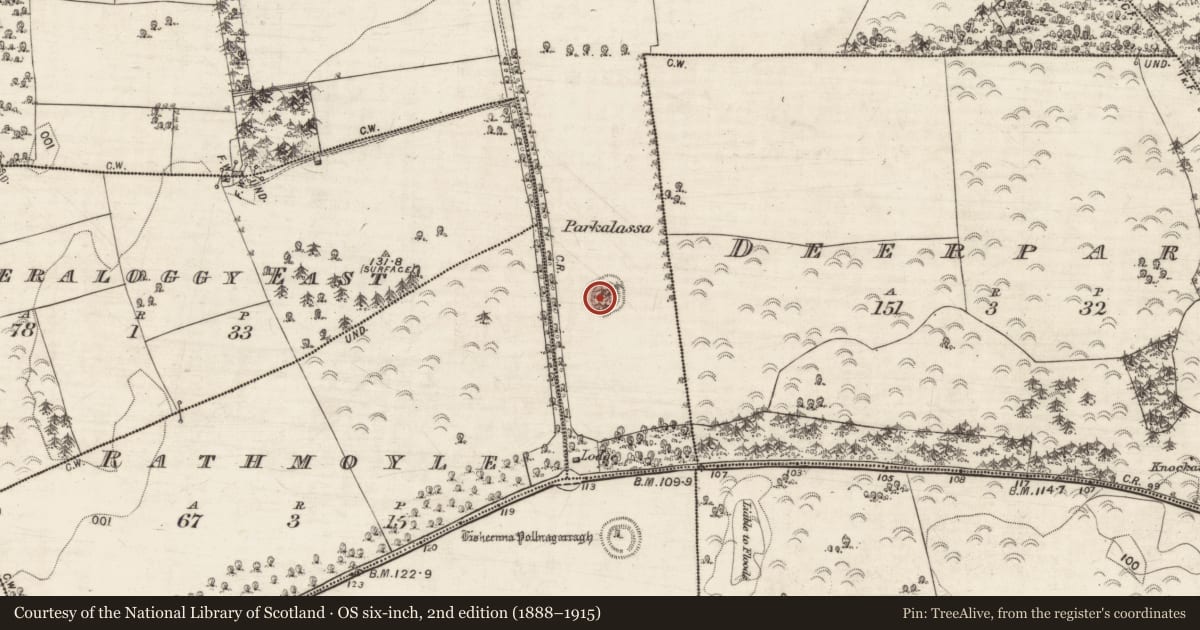 Ordnance Survey six-inch map, 2nd edition (1888–1915) covering the location of Ringfort - rath, Rahasane, County Galway, with a pin at the register's coordinates