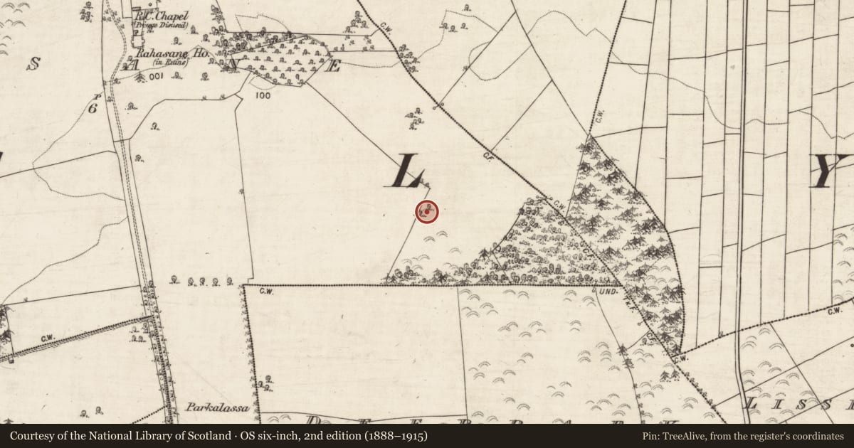 Ordnance Survey six-inch map, 2nd edition (1888–1915) covering the location of Quarry, Rahasane, County Galway, with a pin at the register's coordinates