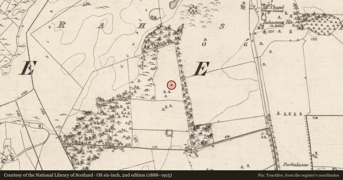 Ordnance Survey six-inch map, 2nd edition (1888–1915) covering the location of Ringfort - rath, Rahasane, County Galway, with a pin at the register's coordinates