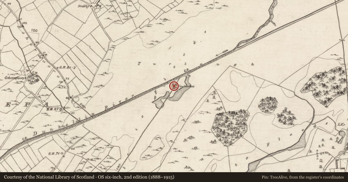 Ordnance Survey six-inch map, 2nd edition (1888–1915) covering the location of Crannog, Rahasane, Rinn, County Galway, with a pin at the register's coordinates