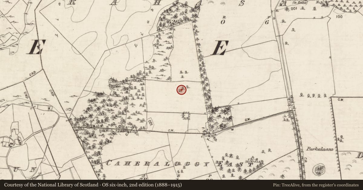 Ordnance Survey six-inch map, 2nd edition (1888–1915) covering the location of Burial ground, Rahasane, County Galway, with a pin at the register's coordinates