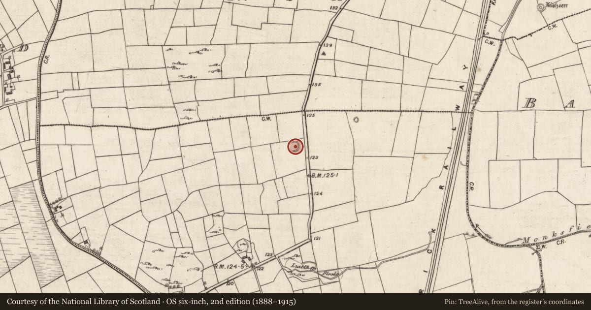 Ordnance Survey six-inch map, 2nd edition (1888–1915) covering the location of House - indeterminate date, Rathcosgry, County Galway, with a pin at the register's coordinates