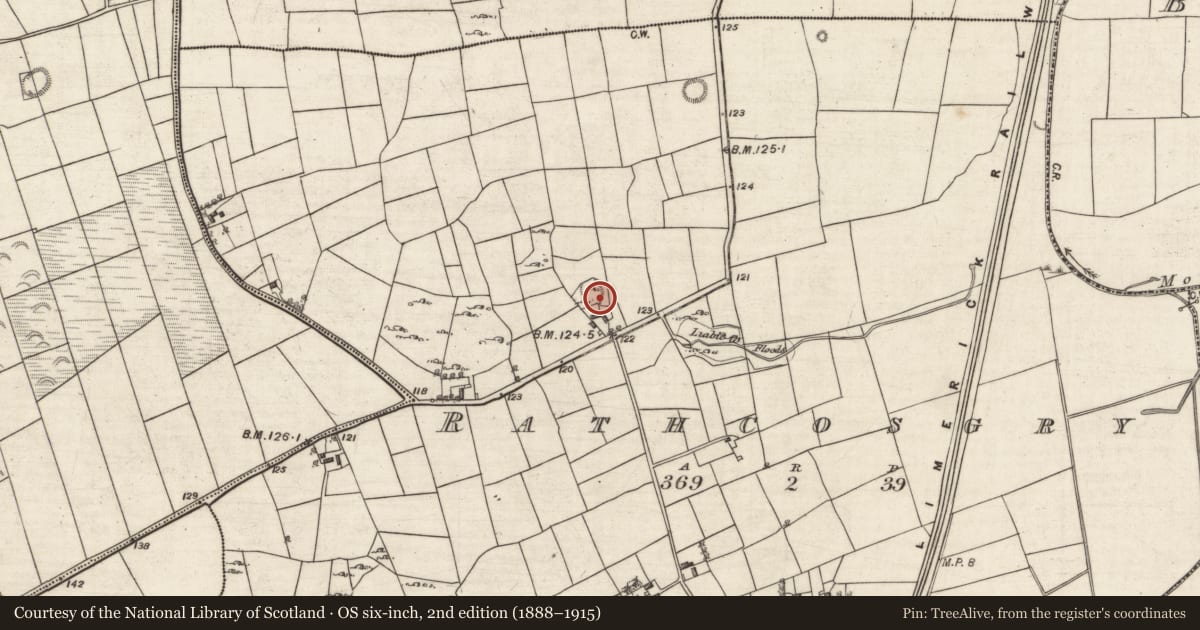 Ordnance Survey six-inch map, 2nd edition (1888–1915) covering the location of Ringfort - cashel, Rathcosgry, County Galway, with a pin at the register's coordinates