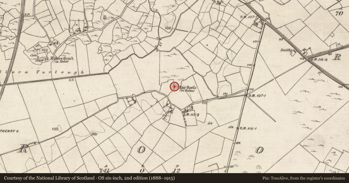 Ordnance Survey six-inch map, 2nd edition (1888–1915) covering the location of Castle - tower house, Roo, County Galway, with a pin at the register's coordinates