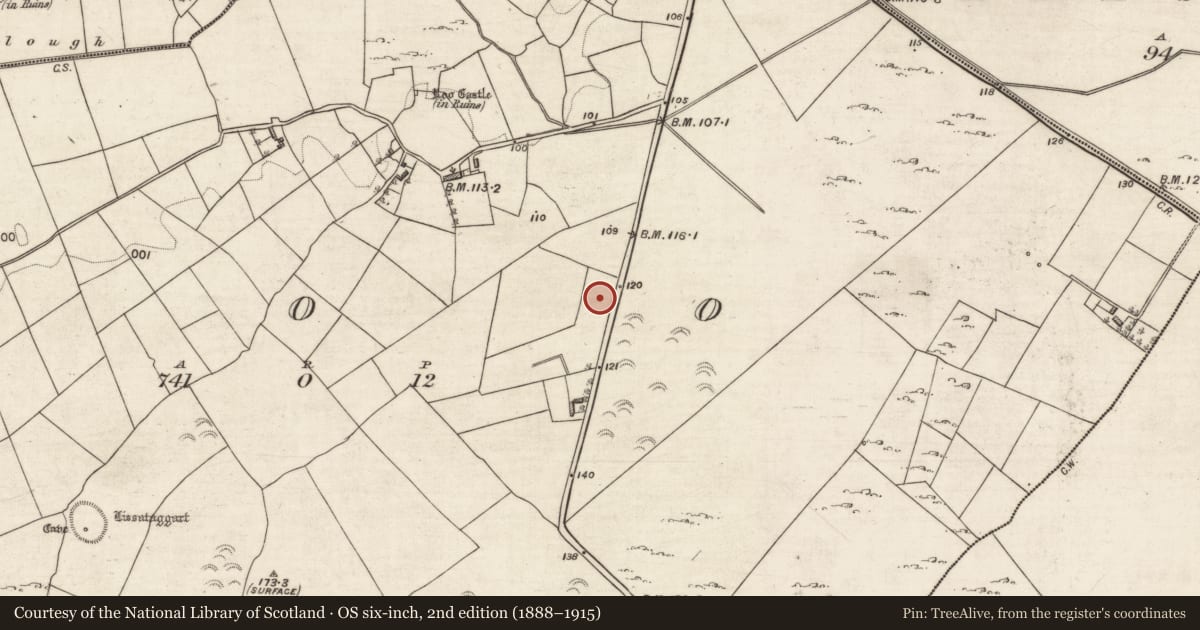Ordnance Survey six-inch map, 2nd edition (1888–1915) covering the location of Fulacht fia, Roo, County Galway, with a pin at the register's coordinates