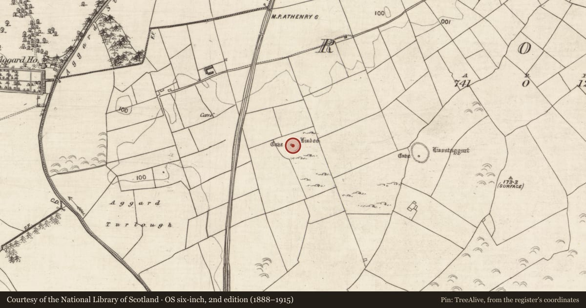 Ordnance Survey six-inch map, 2nd edition (1888–1915) covering the location of Souterrain, Roo, County Galway, with a pin at the register's coordinates