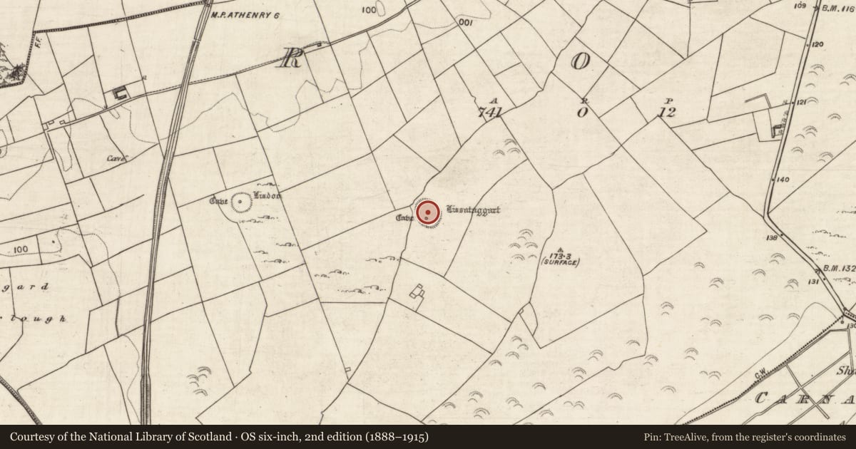 Ordnance Survey six-inch map, 2nd edition (1888–1915) covering the location of Ringfort - rath, Roo, County Galway, with a pin at the register's coordinates