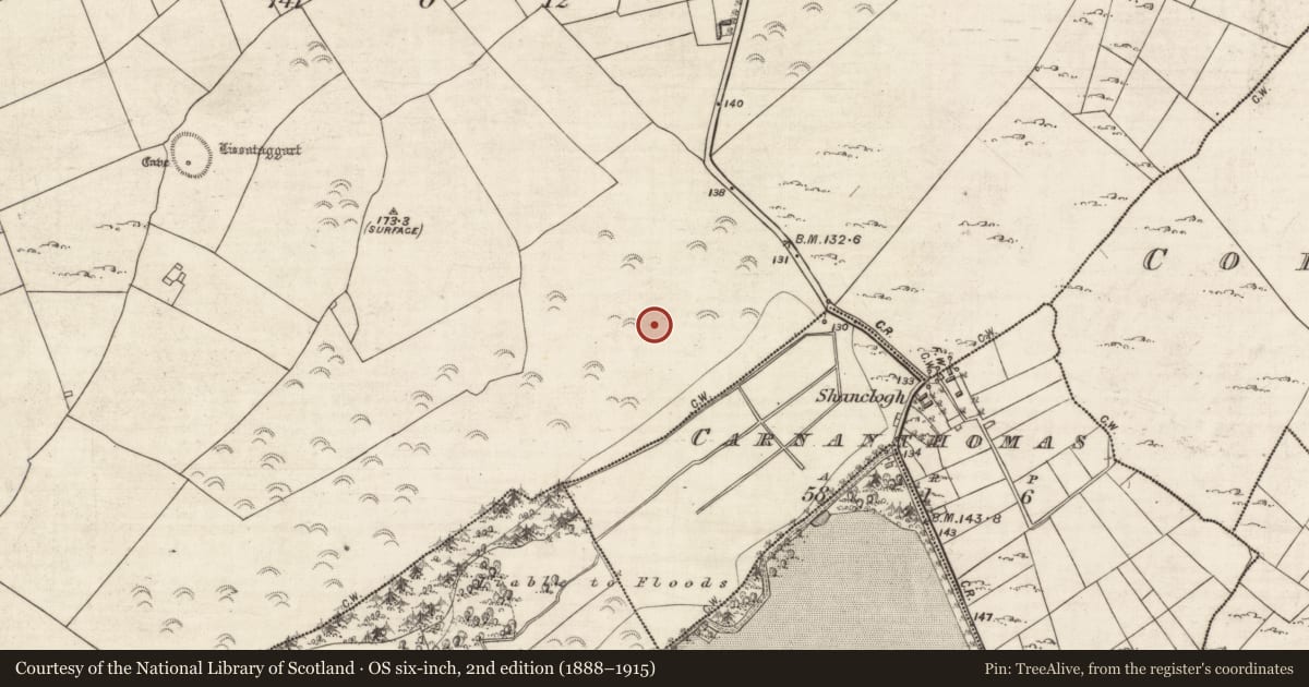 Ordnance Survey six-inch map, 2nd edition (1888–1915) covering the location of Ringfort - cashel, Roo, County Galway, with a pin at the register's coordinates