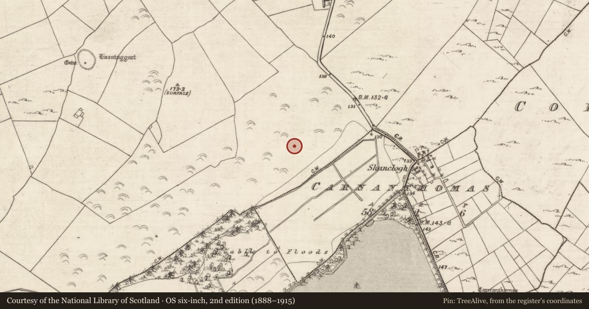 Ordnance Survey six-inch map, 2nd edition (1888–1915) covering the location of Hut site, Roo, County Galway, with a pin at the register's coordinates