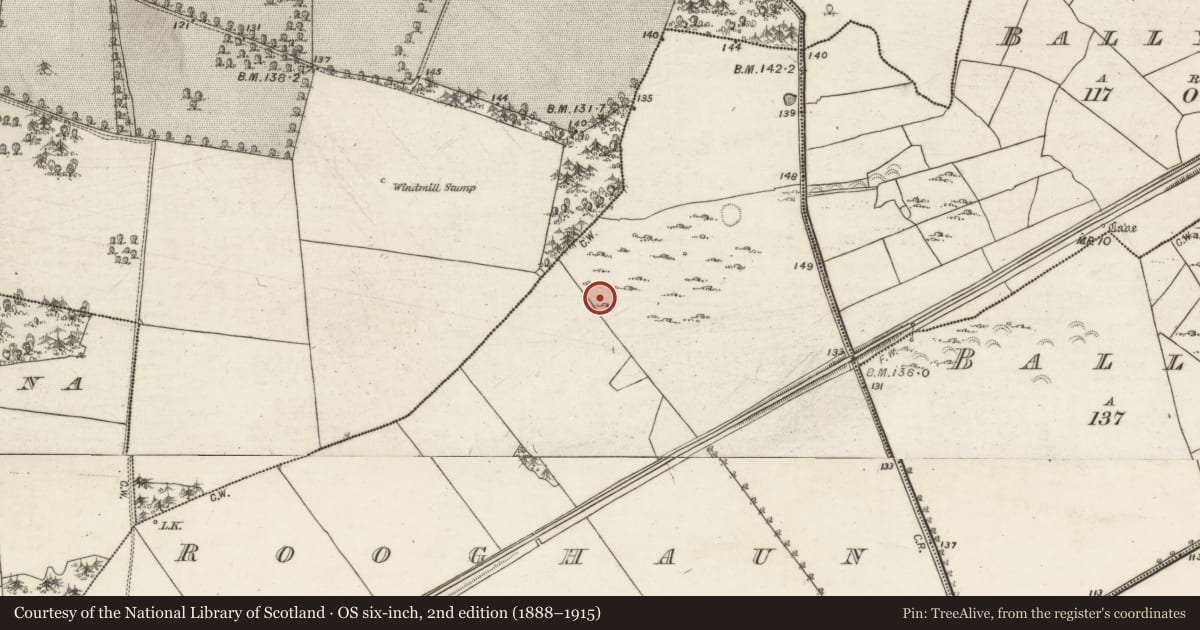 Ordnance Survey six-inch map, 2nd edition (1888–1915) covering the location of Standing stone, Rooghaun, County Galway, with a pin at the register's coordinates