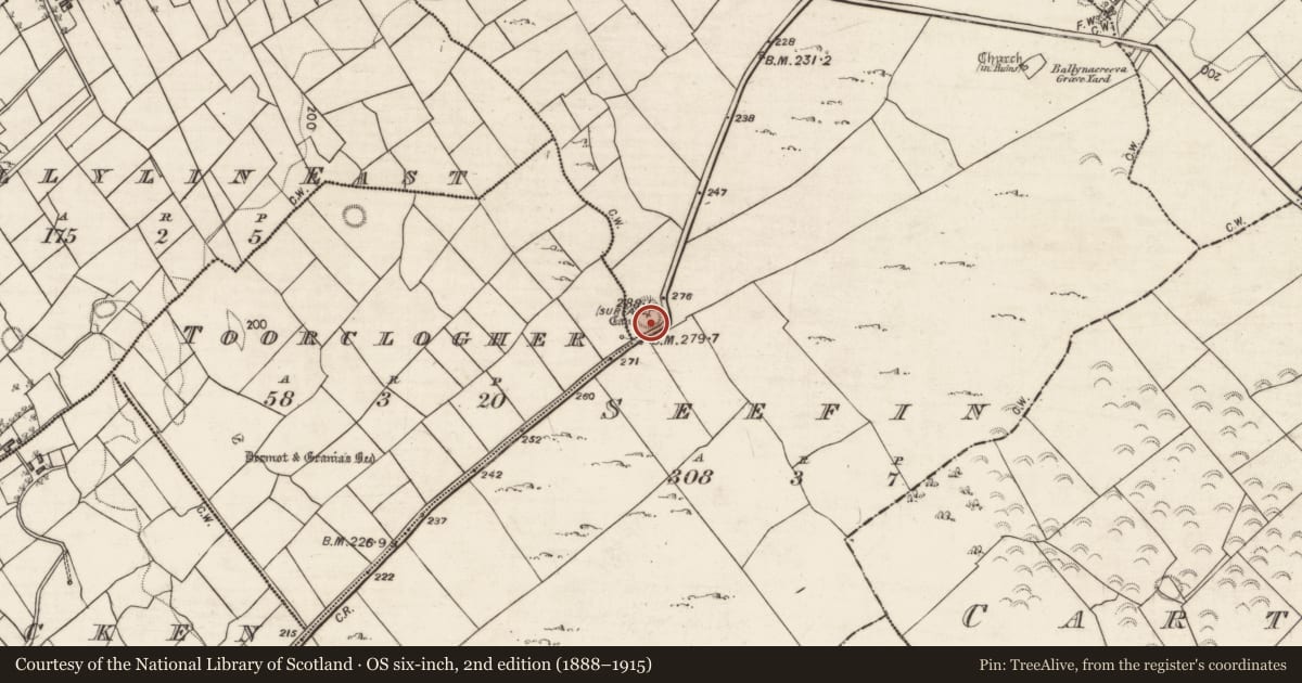 Ordnance Survey six-inch map, 2nd edition (1888–1915) covering the location of Souterrain, Seefin, County Galway, with a pin at the register's coordinates