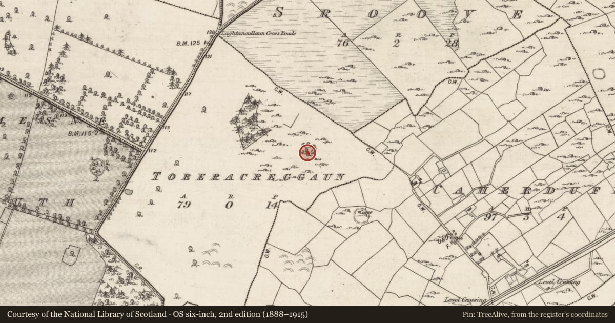 Ordnance Survey six-inch map, 2nd edition (1888–1915) covering the location of Mound, Toberacreggaun, County Galway, with a pin at the register's coordinates