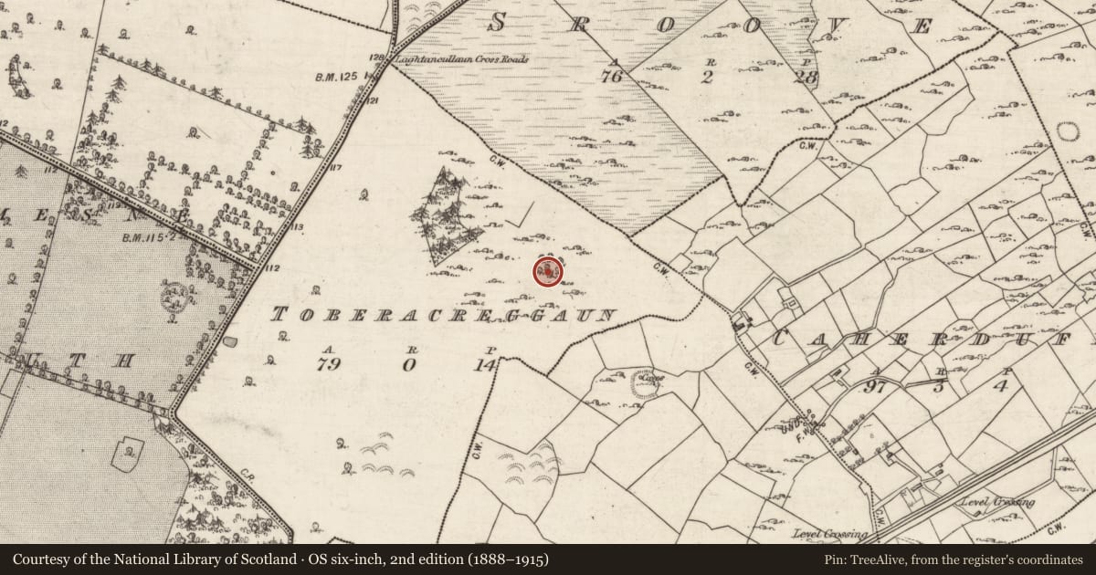 Ordnance Survey six-inch map, 2nd edition (1888–1915) covering the location of Well, Toberacreggaun, County Galway, with a pin at the register's coordinates