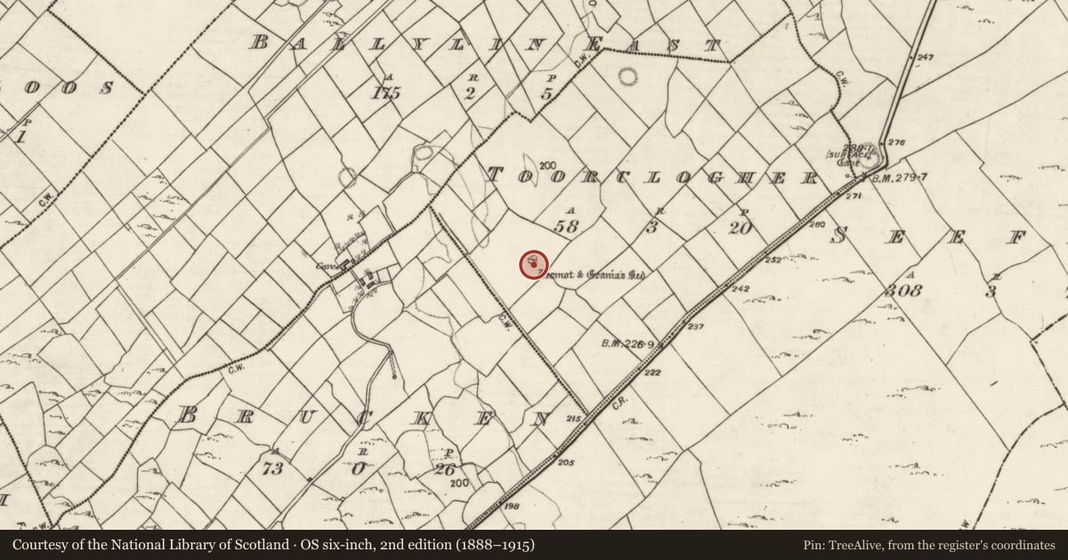 Ordnance Survey six-inch map, 2nd edition (1888–1915) covering the location of Megalithic tomb - wedge tomb, Toorclogher, County Galway, with a pin at the register's coordinates