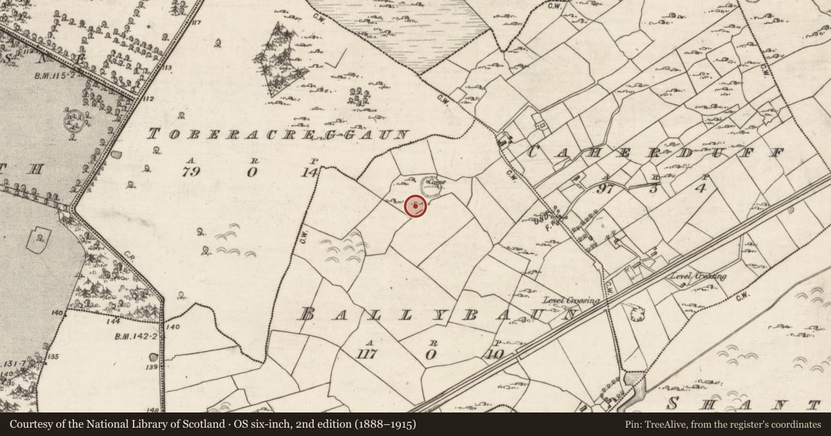 Ordnance Survey six-inch map, 2nd edition (1888–1915) covering the location of Ringfort - rath, Ballybuck North, County Galway, with a pin at the register's coordinates